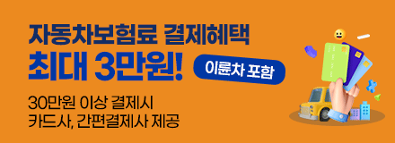 자동차보험료(이륜차 포함) 결제혜택 최대 3만원. 30만원 이상 결제시, 카드사/간편결제사 제공